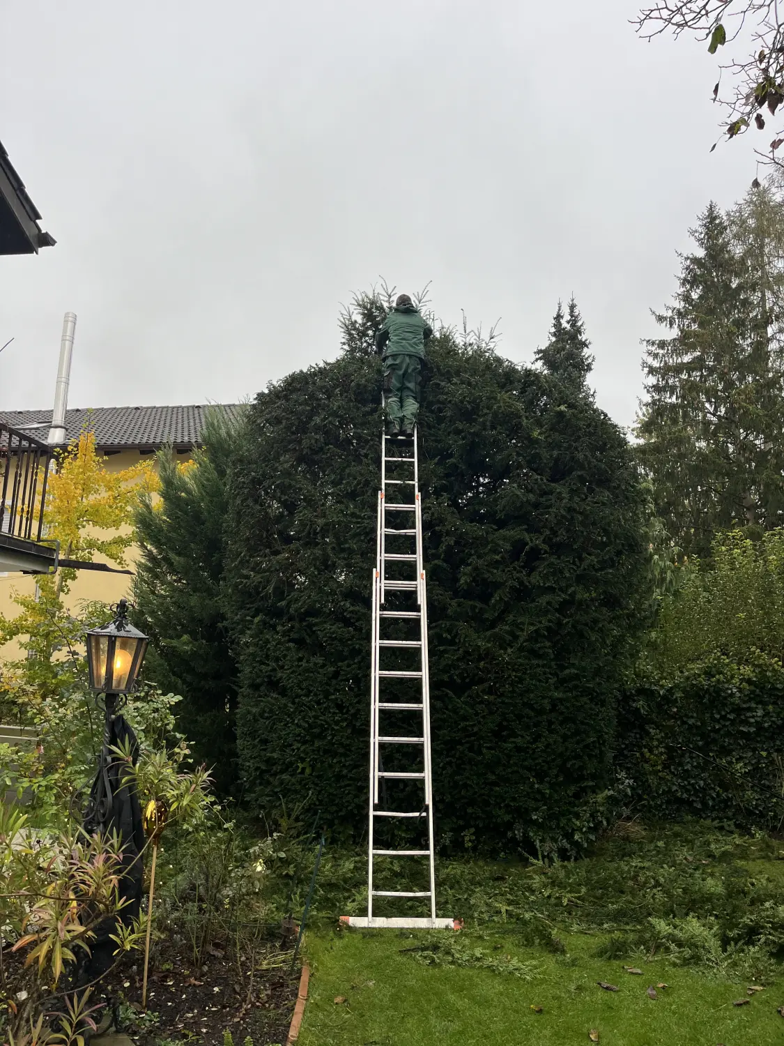 Florian Wäsler - Garten- und Landschaftsbau - Gartengestaltung