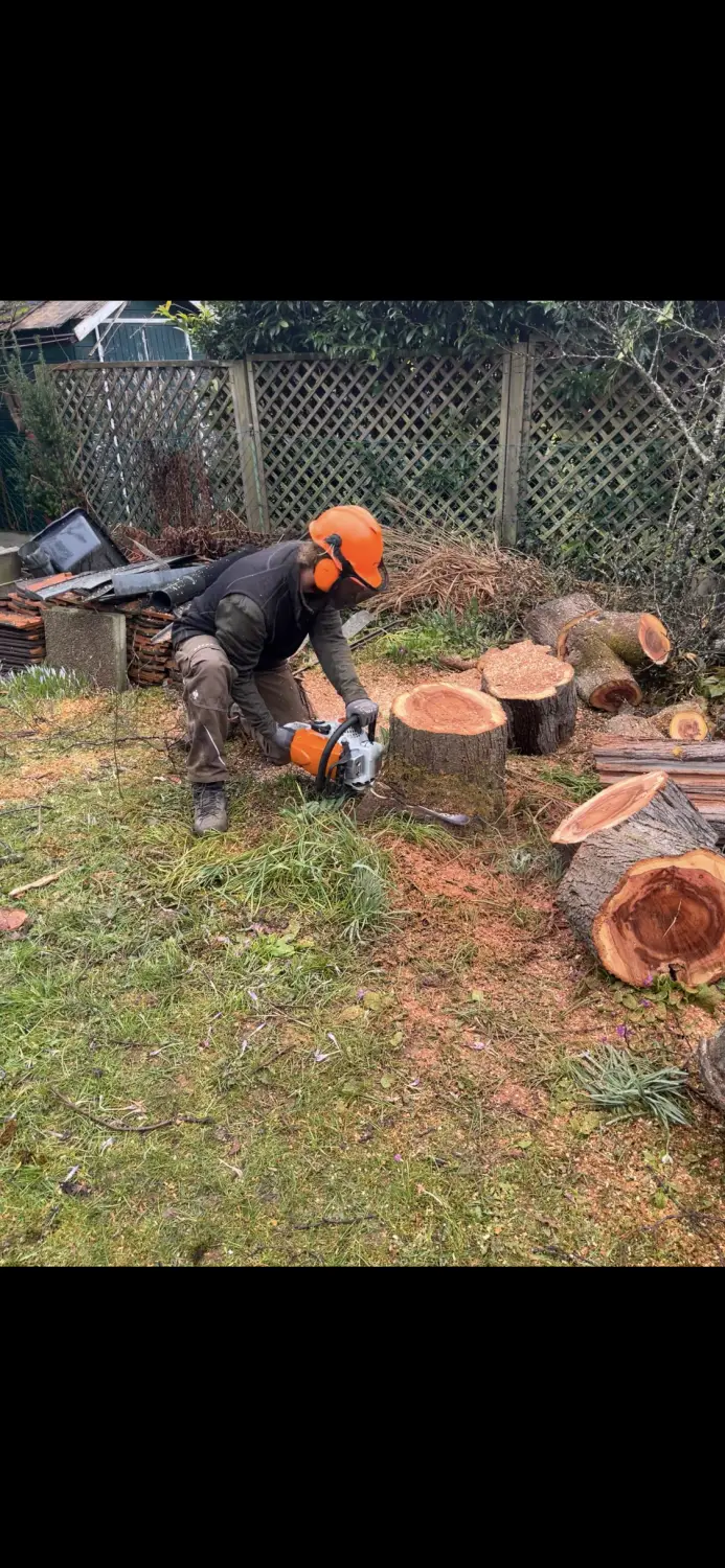 Florian Wäsler - Garten- und Landschaftsbau - Baumpflege & Fällung